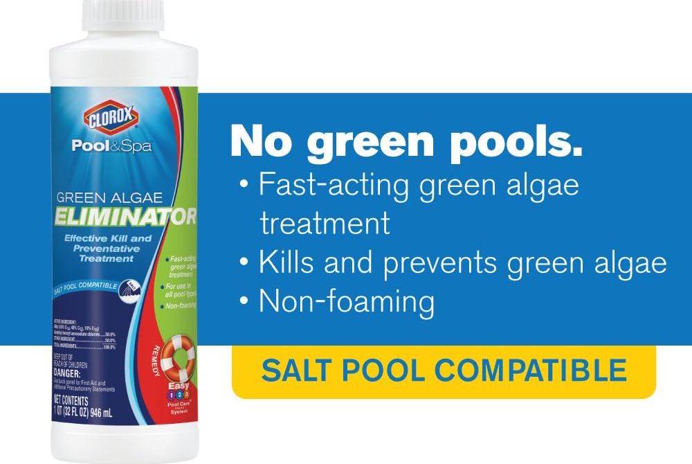 Clorox Pool&Spa Swimming Pool Algaecide, Prevents And Treats Pool Algae, Non-Foaming, 1 Quart (Pack Of 1)